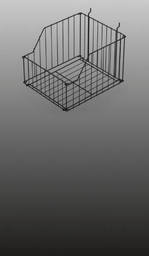 Strategy & Design